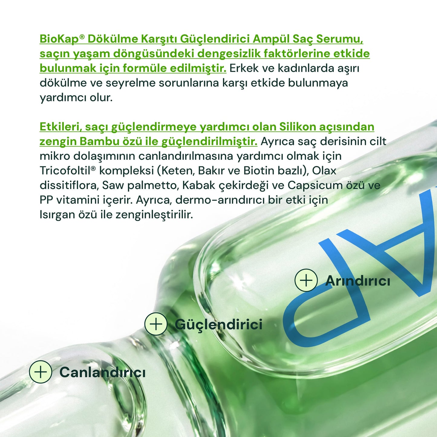 Biokap Anticaduta Dökülme Karşıtı Güçlendirici Ampul 12x7 ml