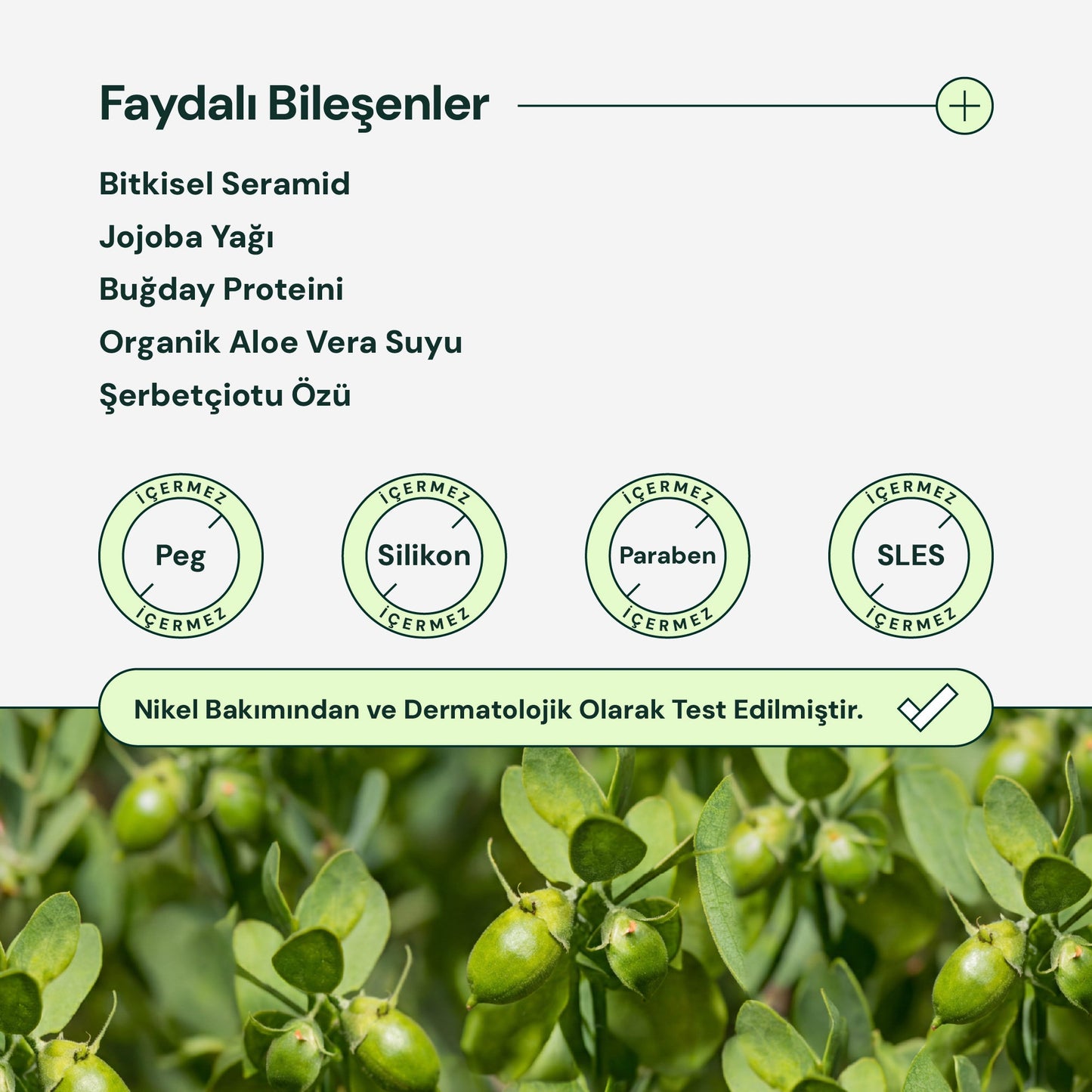 Biokap Besleyici ve Dolaşık Açıcı Saç Krem 125 ml